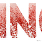 lettre n rouge detail floral aquarellle