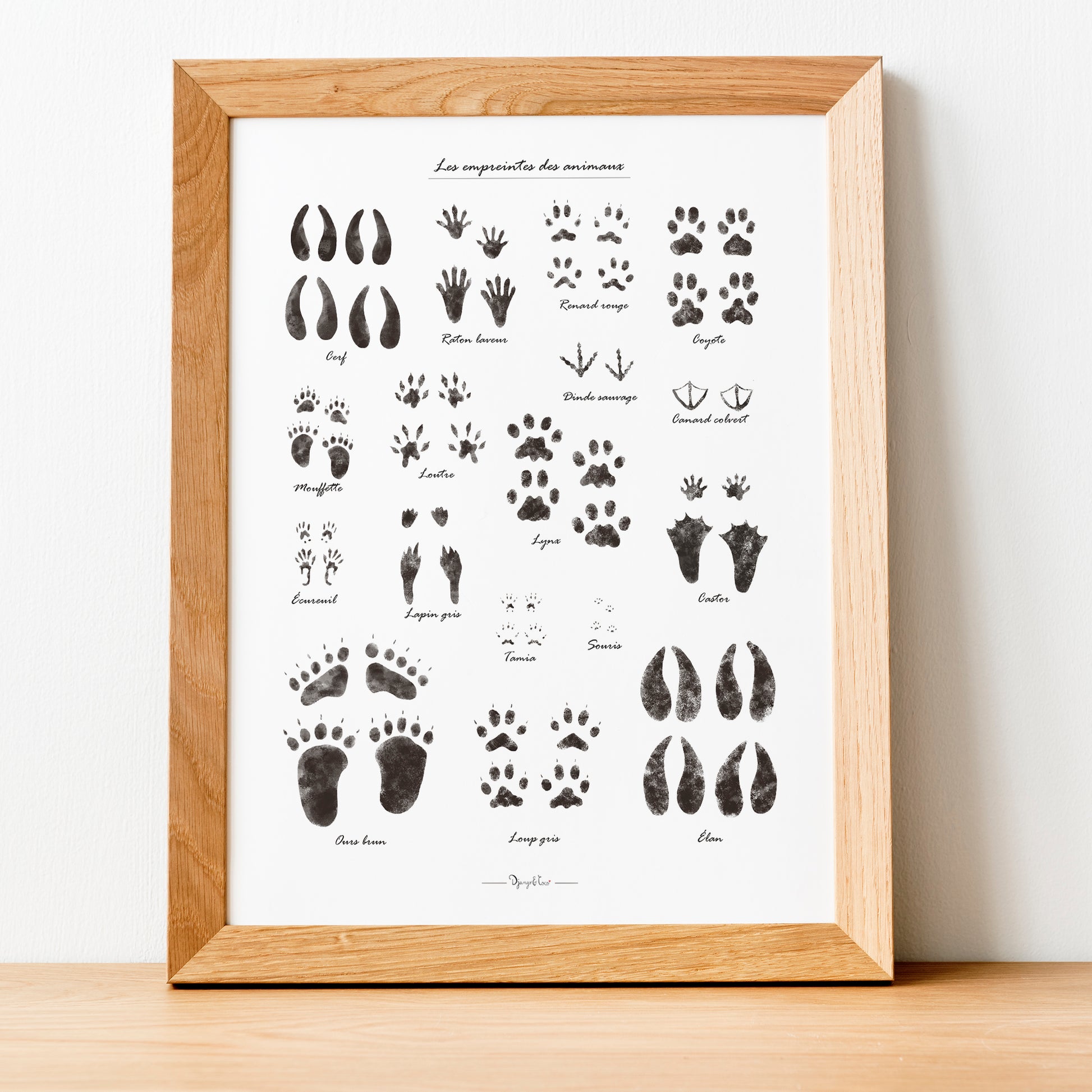 cadre en bois avec illustration les empreintes des animaux