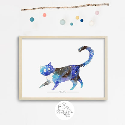 framed art of a galaxy cat