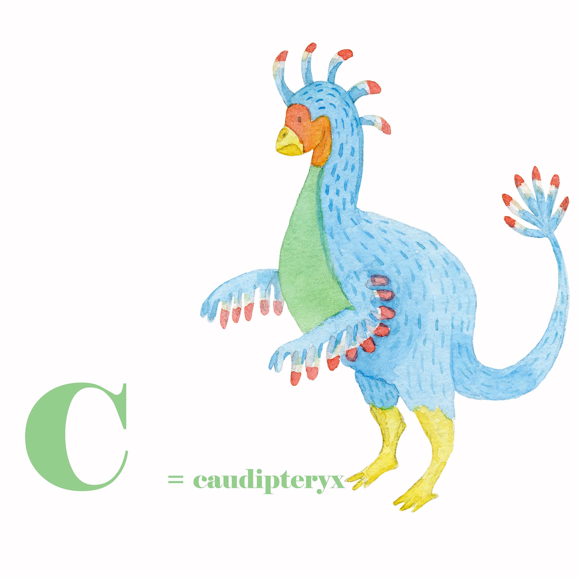 lettre c caudipteryx