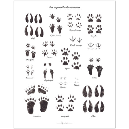 Affiche Aquarelle Enfant - Les empreintes des animaux - Noir et Blanc